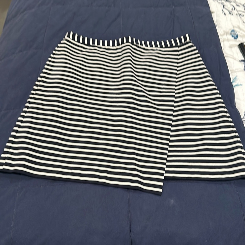 Ann Taylor Skirt